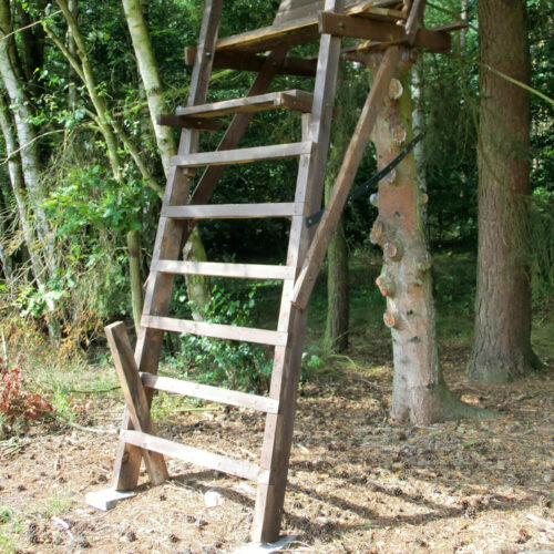 Robuster hölzerner Hochsitz mit integrierter Baumleiter im Wald, ideal zur Raubwild- und Bockjagd.