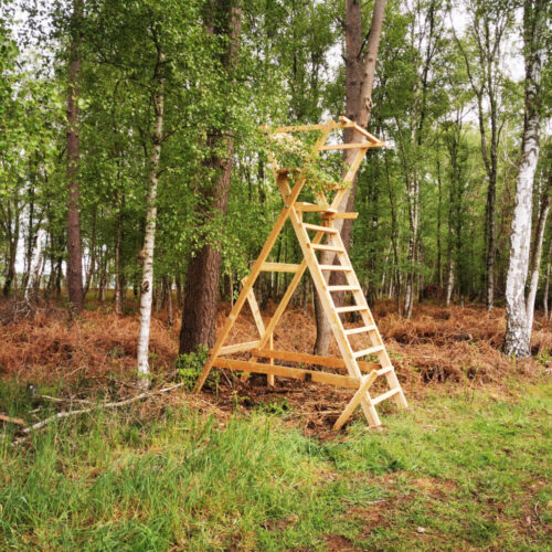Holzleiter für die Waldjagd, idealer Hochstand für mobile Jagd im Wald
