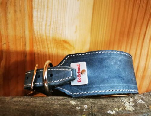 Handgefertigtes Lederhalsband für Jagdhunde aus weichem Fettleder, verjüngt und robust