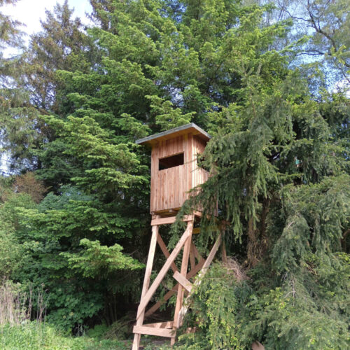 Holzjagdkanzel im Wald, umgeben von grünen Bäumen und natürlicher Vegetation
