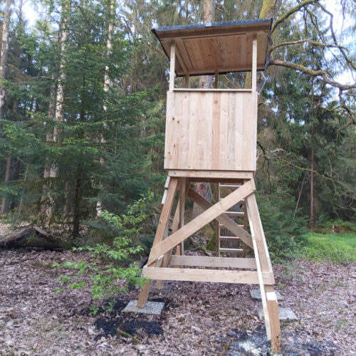 Holzjagdkanzel im Wald, umgeben von Bäumen und Laub auf dem Waldboden