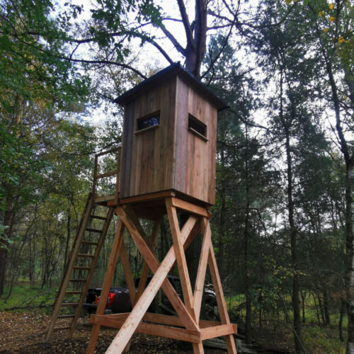 Holzjagdkanzel im Wald mit Leiter und stabiler Konstruktion für Jäger