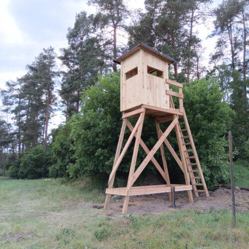 Holzjagdkanzel in einem Waldgebiet mit grünen Bäumen und klarem Himmel