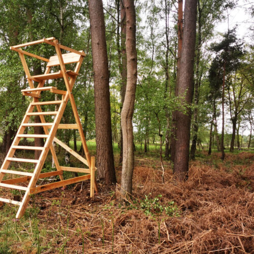 Scherenleiter für die mobile Jagd im Wald mit grünen Bäumen und braunem Laub
