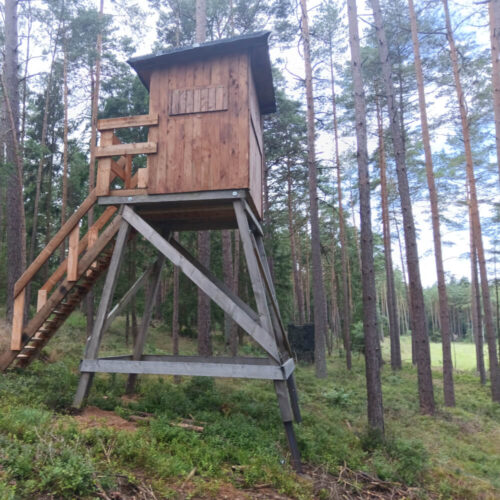 Schlafkanzel Brandfuchs im Wald, ideal für Jagd auf Schwarzwild und Füchse