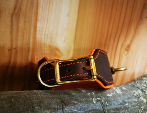 Handgefertigte Schweißhalsung aus Fettleder für Jagdhunde mit robustem Design